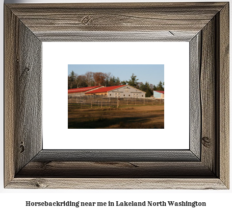 horseback riding near me in Lakeland North, Washington